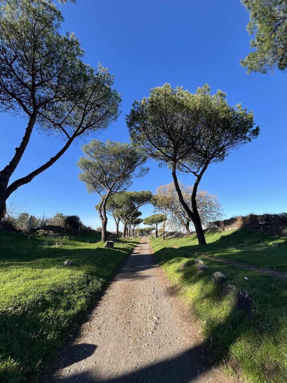 イタリア、アッピア旧街道の石畳でローマ入場まで